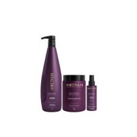 Aneethun Kit Defrizante No Frizz 3 un 